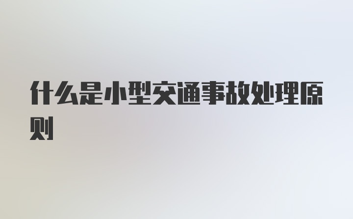 什么是小型交通事故处理原则