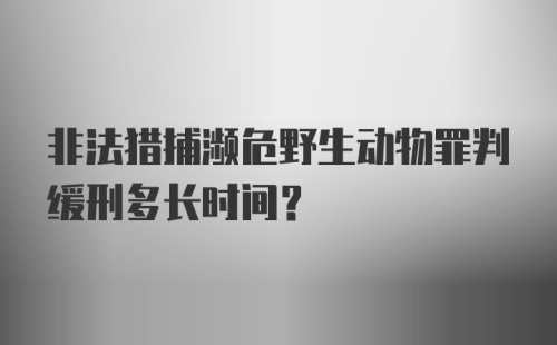 非法猎捕濒危野生动物罪判缓刑多长时间？