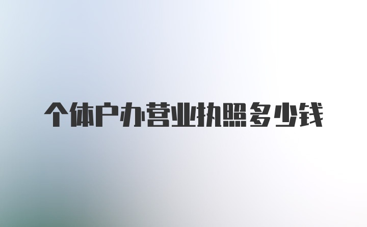 个体户办营业执照多少钱