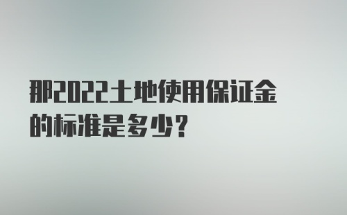 那2022土地使用保证金的标准是多少？