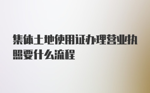 集体土地使用证办理营业执照要什么流程