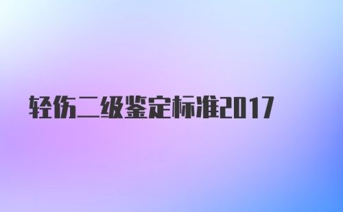 轻伤二级鉴定标准2017