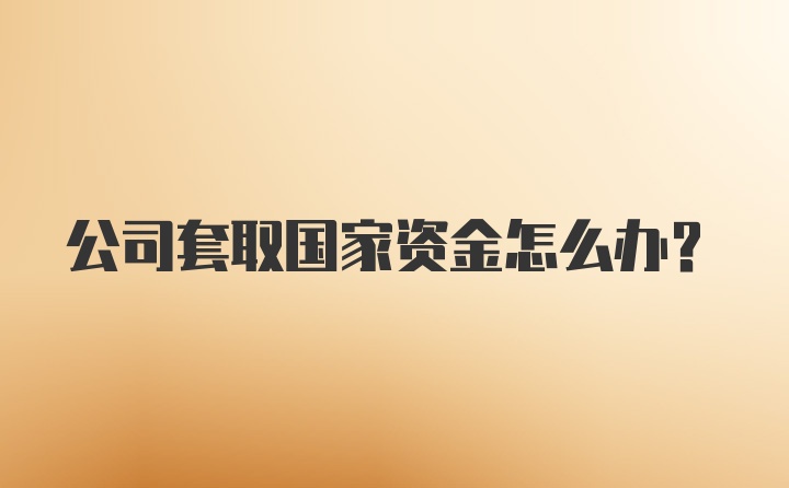 公司套取国家资金怎么办？