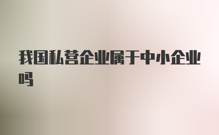 我国私营企业属于中小企业吗