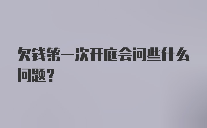 欠钱第一次开庭会问些什么问题？