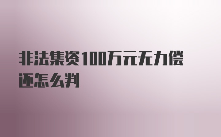 非法集资100万元无力偿还怎么判