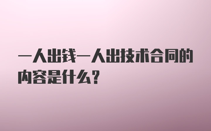 一人出钱一人出技术合同的内容是什么?