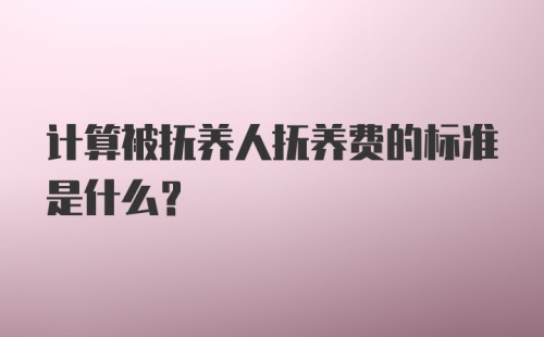 计算被抚养人抚养费的标准是什么？