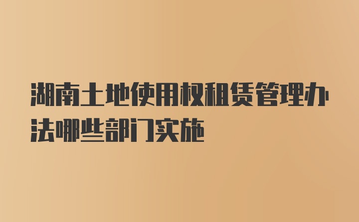 湖南土地使用权租赁管理办法哪些部门实施