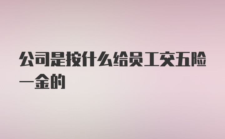 公司是按什么给员工交五险一金的