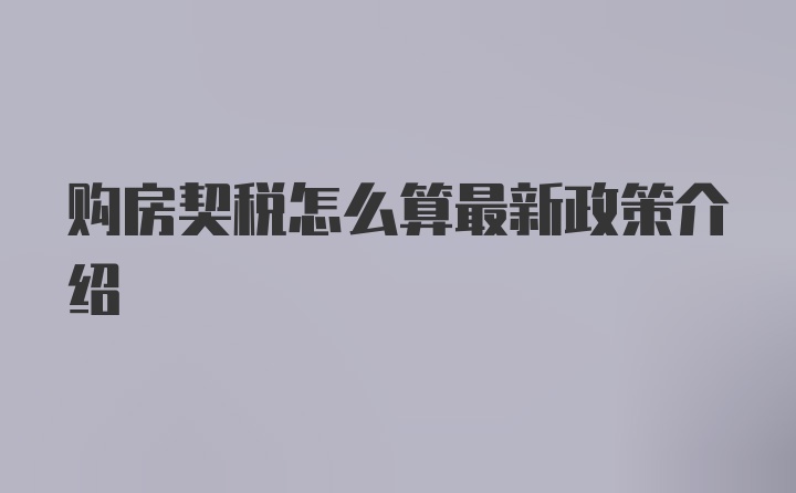 购房契税怎么算最新政策介绍