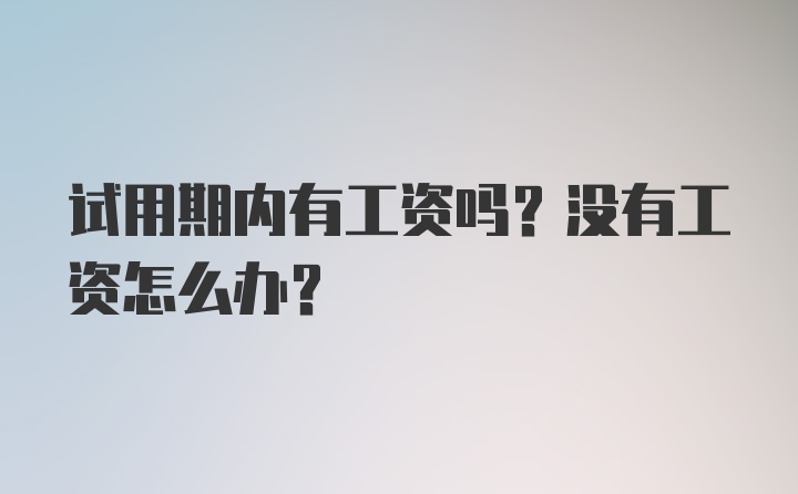 试用期内有工资吗？没有工资怎么办？