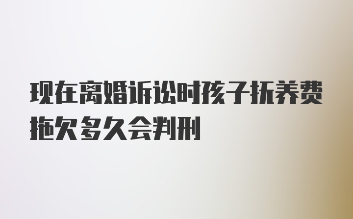 现在离婚诉讼时孩子抚养费拖欠多久会判刑