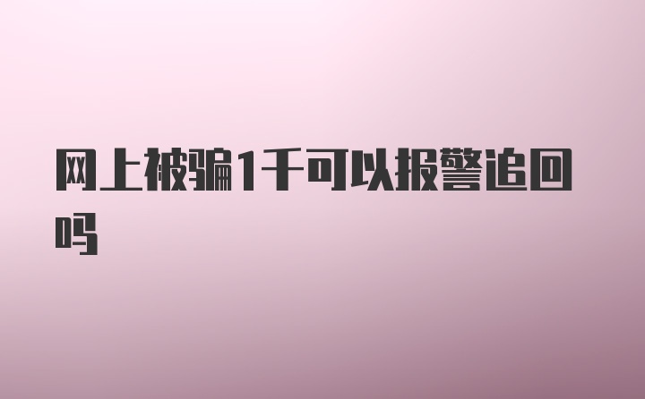 网上被骗1千可以报警追回吗