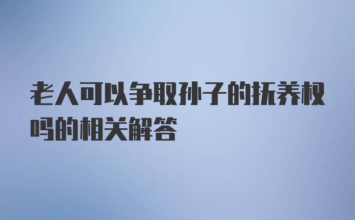 老人可以争取孙子的抚养权吗的相关解答