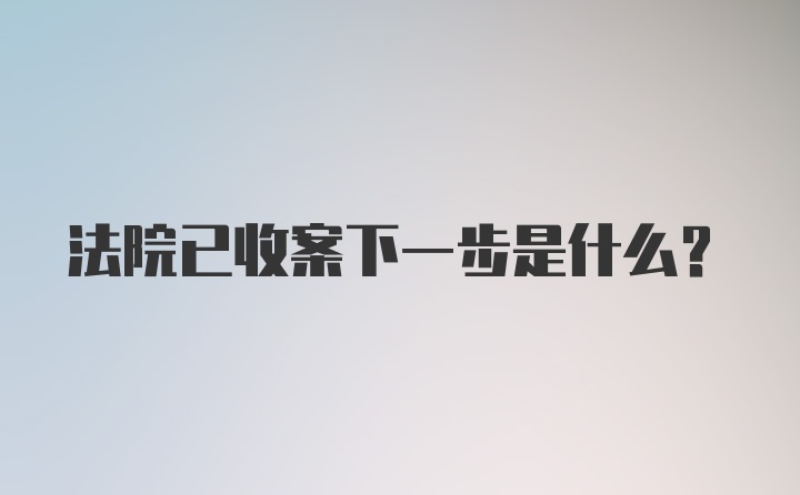 法院已收案下一步是什么?