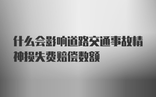 什么会影响道路交通事故精神损失费赔偿数额