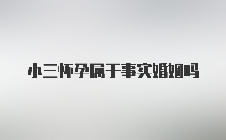 小三怀孕属于事实婚姻吗