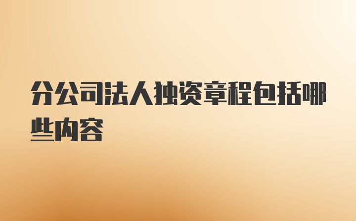 分公司法人独资章程包括哪些内容