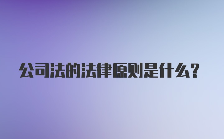 公司法的法律原则是什么?