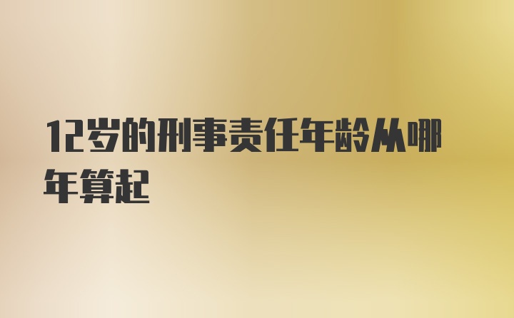 12岁的刑事责任年龄从哪年算起