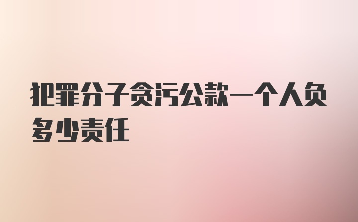 犯罪分子贪污公款一个人负多少责任