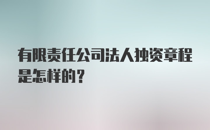 有限责任公司法人独资章程是怎样的？