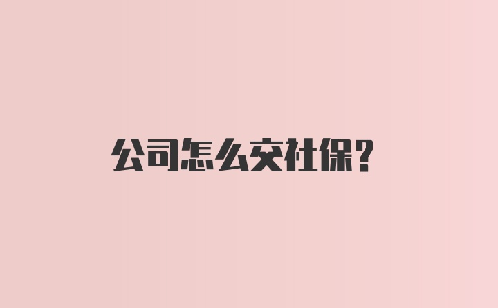 公司怎么交社保？