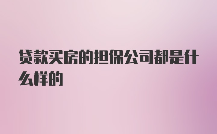 贷款买房的担保公司都是什么样的