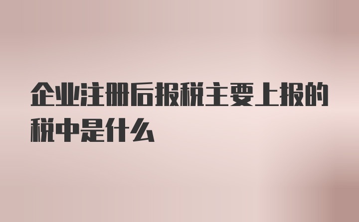 企业注册后报税主要上报的税中是什么