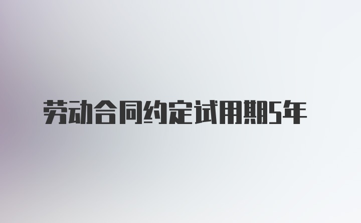 劳动合同约定试用期5年