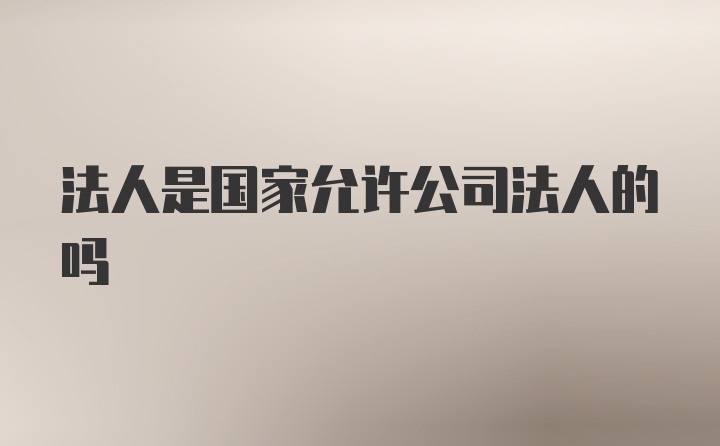 法人是国家允许公司法人的吗