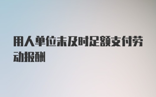 用人单位未及时足额支付劳动报酬