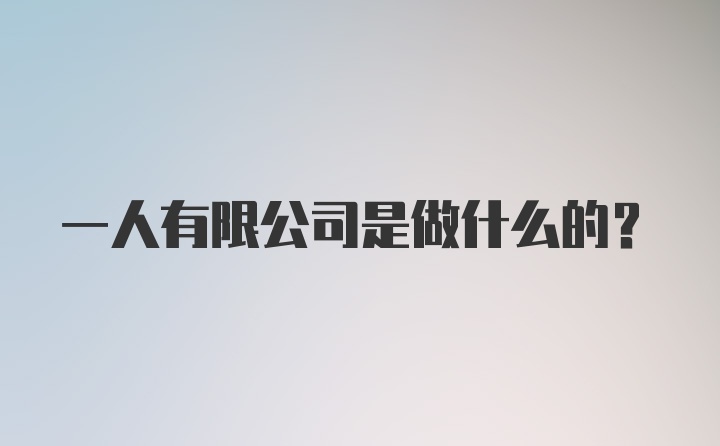 一人有限公司是做什么的？