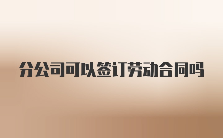 分公司可以签订劳动合同吗