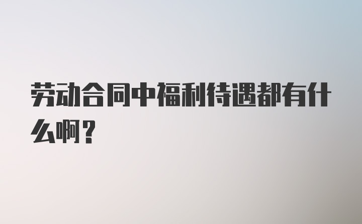 劳动合同中福利待遇都有什么啊？