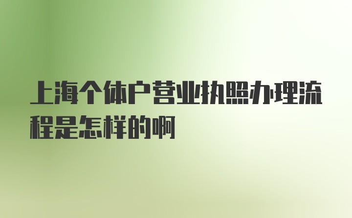 上海个体户营业执照办理流程是怎样的啊