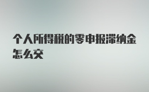 个人所得税的零申报滞纳金怎么交