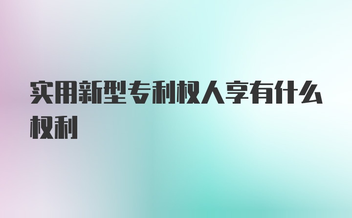 实用新型专利权人享有什么权利