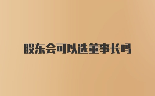 股东会可以选董事长吗