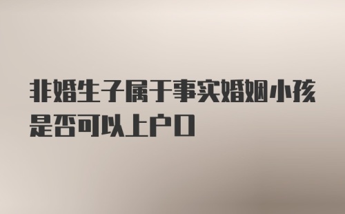 非婚生子属于事实婚姻小孩是否可以上户口