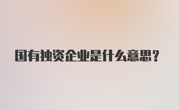 国有独资企业是什么意思？