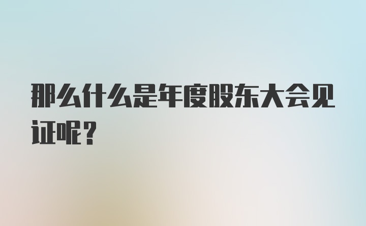 那么什么是年度股东大会见证呢？