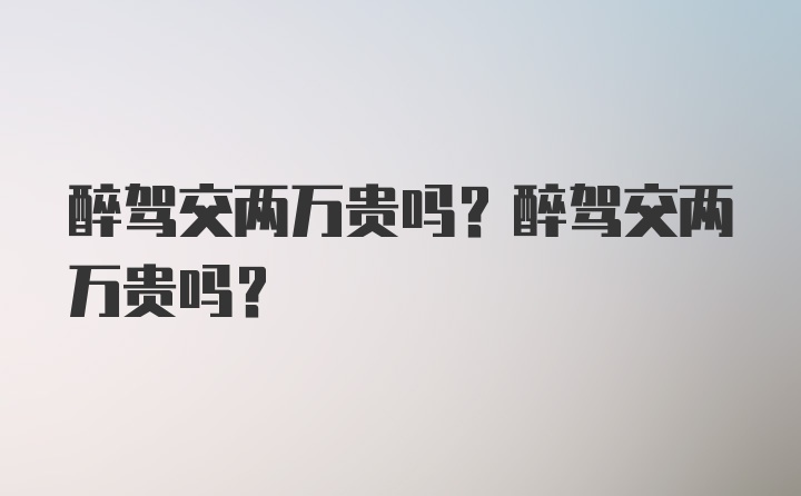 醉驾交两万贵吗？醉驾交两万贵吗？