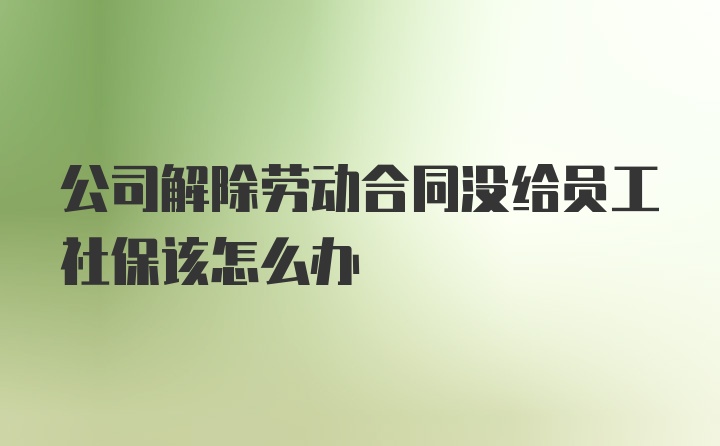 公司解除劳动合同没给员工社保该怎么办