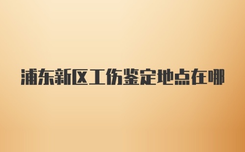 浦东新区工伤鉴定地点在哪