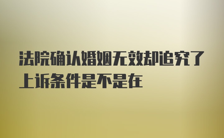 法院确认婚姻无效却追究了上诉条件是不是在