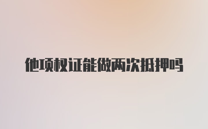 他项权证能做两次抵押吗