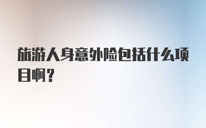 旅游人身意外险包括什么项目啊？