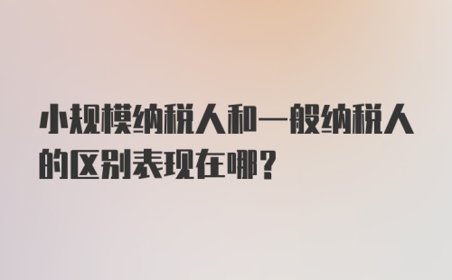 小规模纳税人和一般纳税人的区别表现在哪？